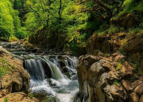 Bu parkların sahələri genişləndirilib