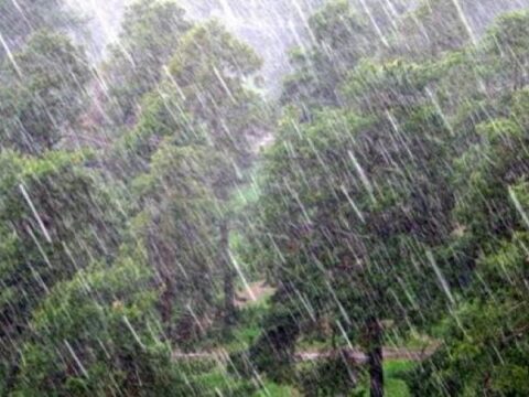 İyulun ilk ongünlüyündə temperatur 8 dərəcə aşağı olacaq