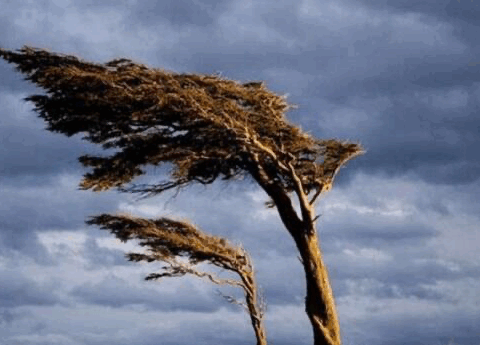 Güclü külək əsəcək – Sarı və narıncı xəbərdarlıq