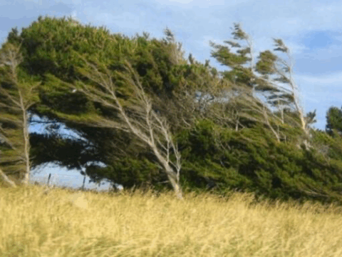 Bakıda və bölgələrdə külək güclənəcək – Xəbərdarlıq