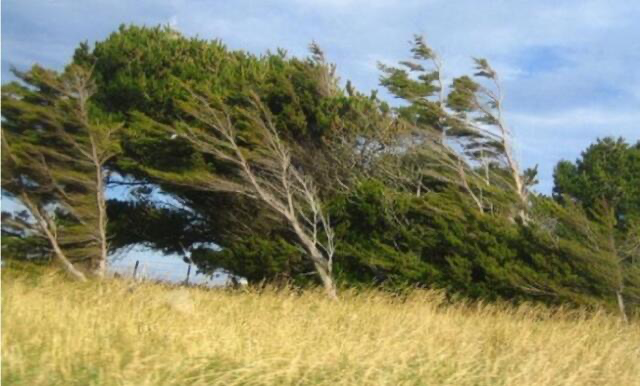 Bakıda və bölgələrdə külək güclənəcək – Xəbərdarlıq