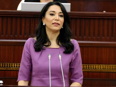 Ombudsman sərhəddəki vəziyyətlə bağlı bəyanat verdi