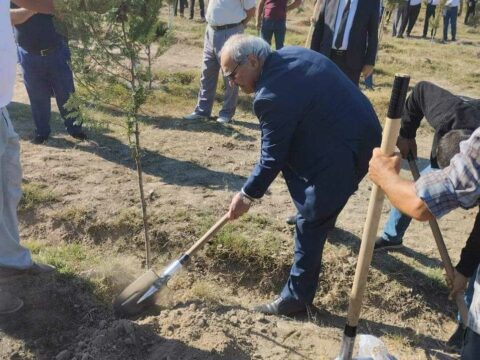 Millət vəkili Anım günü münasibətilə Salyanda ağacəkmə kampaniyasına qatıldı