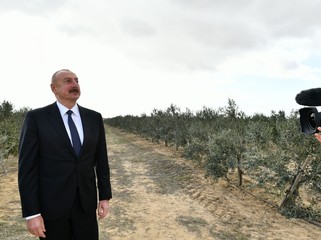 Minlərlə iş yeri yaratmaq planlarımız var