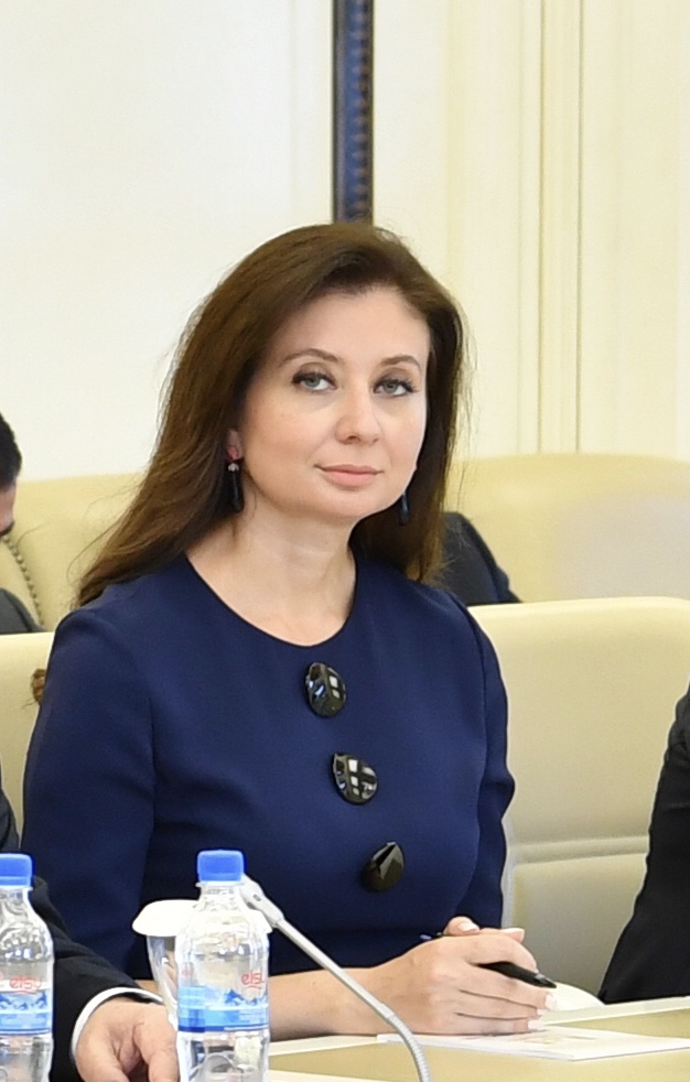 Bu qələbə dünya hərb tarixinə qızıl hərflərlə yazıldı Bu qələbə dünya hərb tarixinə qızıl hərflərlə yazıldı