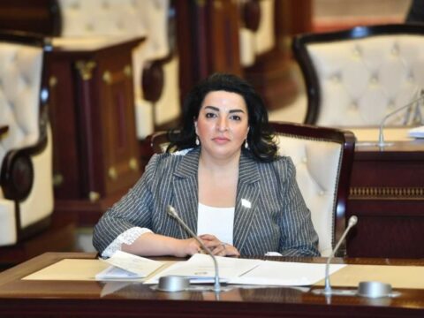 Sülhməramlıların öz mandatlarından kənar hərəkətləri yolverilməzdir