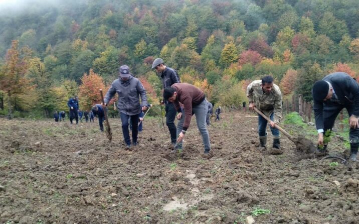 Ötən həftə 45 mindən çox ağac əkilib