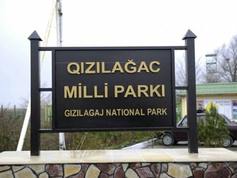 Qızılağacda balıq tutan şəxs saxlanıldı