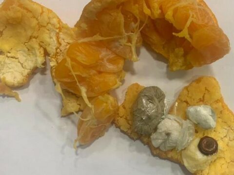 Mandarinin içərisində həbsxanaya narkotik keçirilməsinin qarşısı alındı