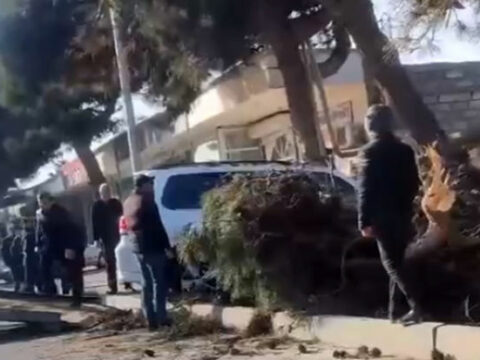 Yüksək sürətlə hərəkətdə olan “Prado” ağaclığa çırpıldı