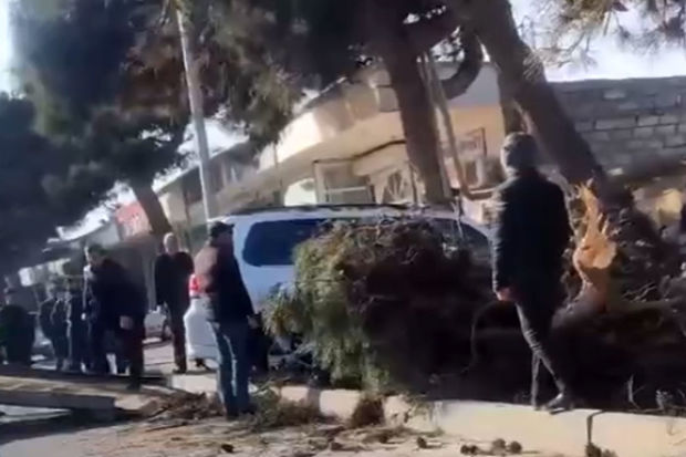 Yüksək sürətlə hərəkətdə olan “Prado” ağaclığa çırpıldı