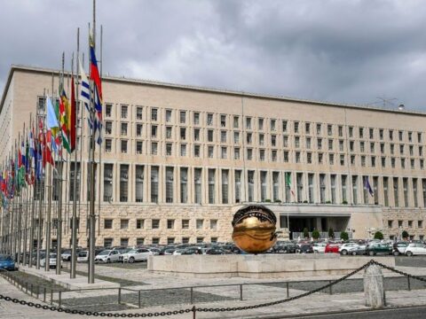 Səfirliyə qorxaqcasına hücuma görə həmrəyliyimizi bildiririk