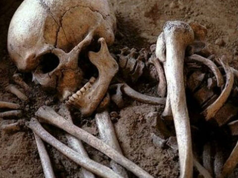 Qəbələdə kişi skeleti tapıldı 