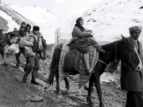 “Qərbi Azərbaycandan olan qaçqınların statusuna yenidən baxılsın”