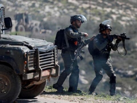 İsrail hərbçiləri Misir sərhədində 14,2 milyon dollar dəyərində narkotik ələ keçirib