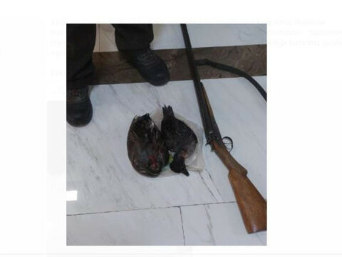 Qanunsuz ov edən şəxs saxlanıldı