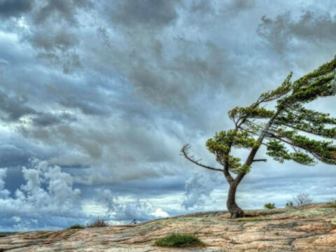 Ölkə ərazisində küləkli hava şəraiti gözlənilir