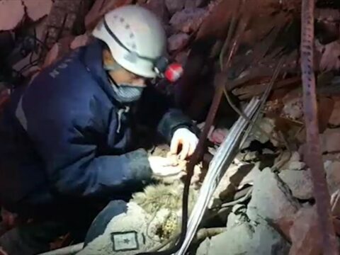 Azərbaycan xilasediciləri Hatayda dağıntılar altından tapılan qızıl və zinət əşyalarını yerli polisə təhvil verib