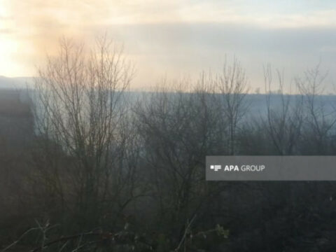 Qəbələdə kolluq və ağaclıq ərazi yanır – FOTO – YENİLƏNİB