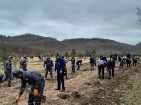 Su çərşənbəsində 18 min ağac əkilib