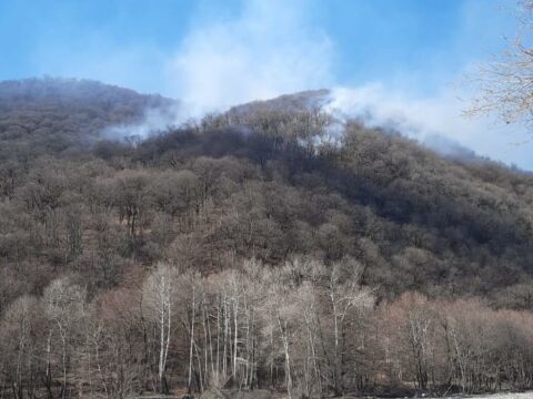 “Şahdağ” Milli Parkında yanğın söndürüldü
