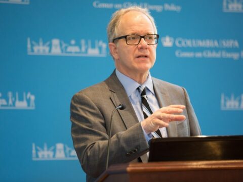 “Azərbaycan zəngin bərpa olunan enerji resurslarına malikdir”