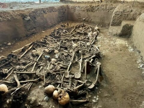 Füzulidə mina axtarışları zamanı insan sümükləri aşkarlandı
