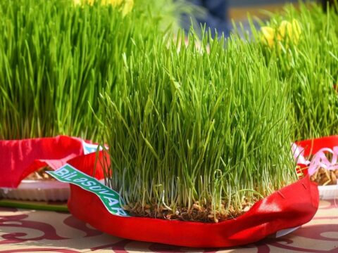 Ermənilər indi də Novruz və səmənimizə sahiblənmək xəyalına düşüb