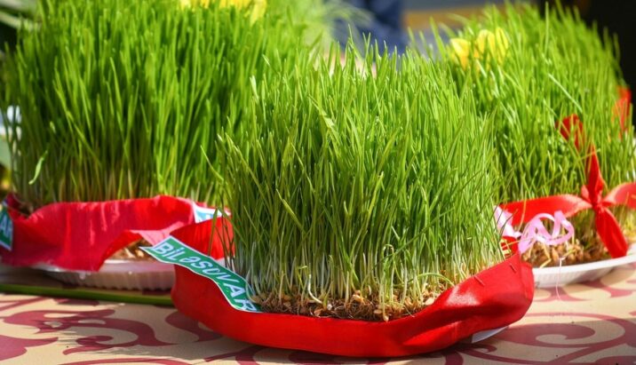 Ermənilər indi də Novruz və səmənimizə sahiblənmək xəyalına düşüb Ermənilər indi də Novruz və səmənimizə sahiblənmək xəyalına düşüb