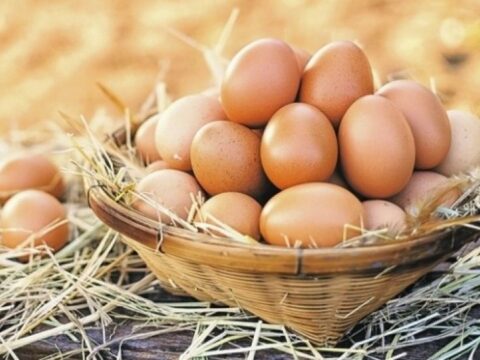 Yumurtanın qiyməti artıb? – AÇIQLAMA