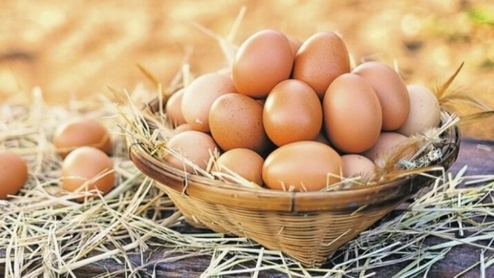 Yumurtanın qiyməti artıb? – AÇIQLAMA Yumurtanın qiyməti artıb? – AÇIQLAMA