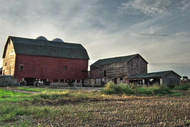 Ukraynada azərbaycanlının fermasına hücum: Oğlu yaralandı