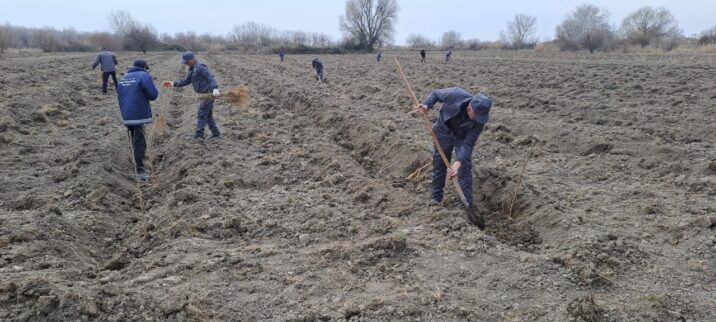 Meşə fondu torpaqlarında 14 mindən artıq ağac əkilib