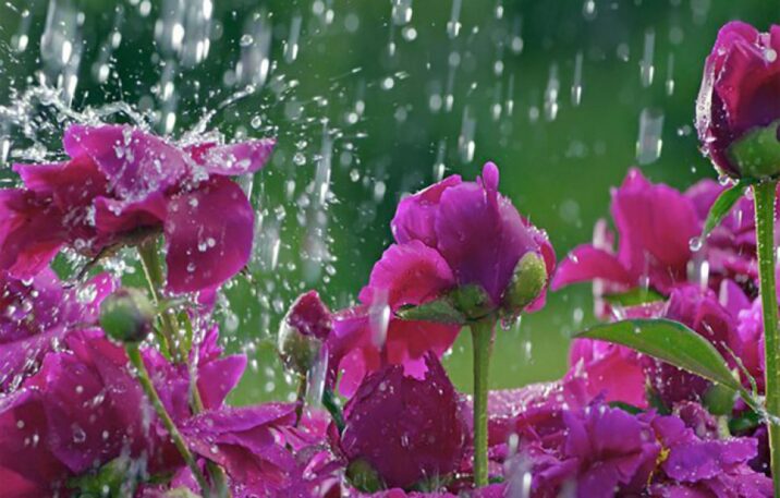 Sabahın havası – Yağış, külək, 25 dərəcə isti…