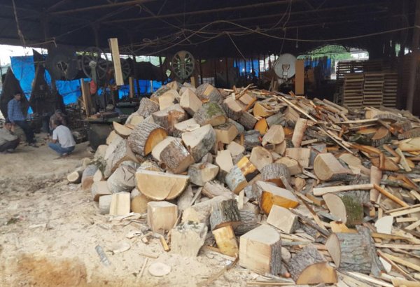 Qusarda qanunsuz fəaliyyət göstərən taxta sexləri aşkarlanıb