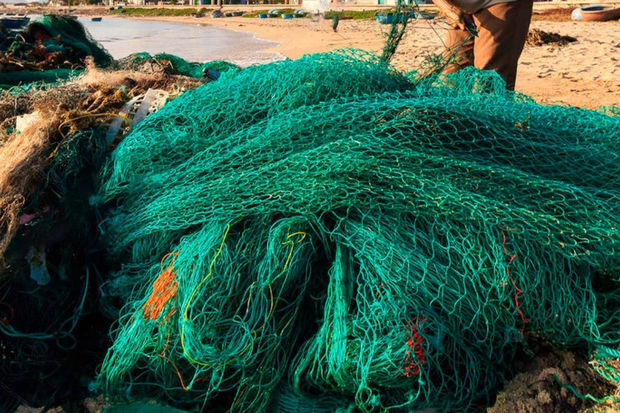 Su hövzələrindən 70 sintetik tor götürüldü