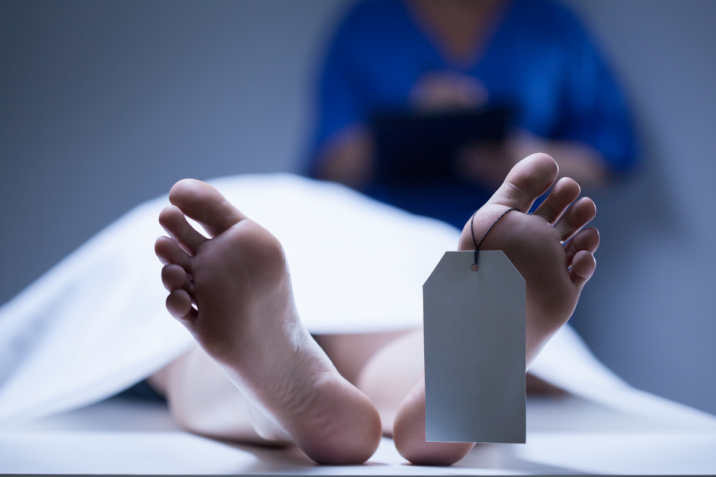 Qaxda arının sancdığı kişi ölüb