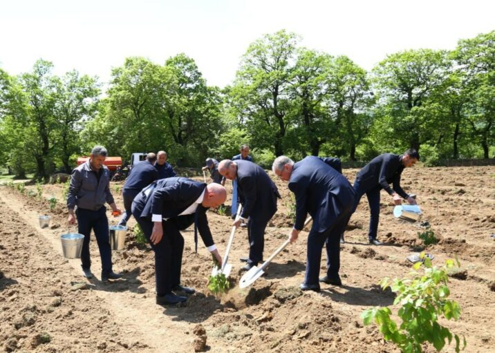 Növbəti ağacəkmə aksiyası və balıq buraxılışı həyata keçirilib