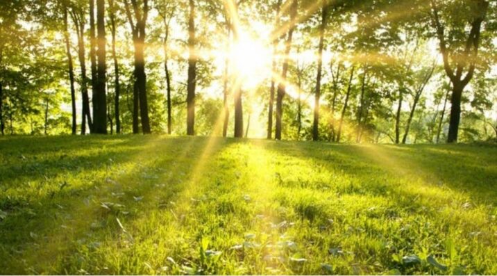 Apreldə temperatur normadan yüksək olub