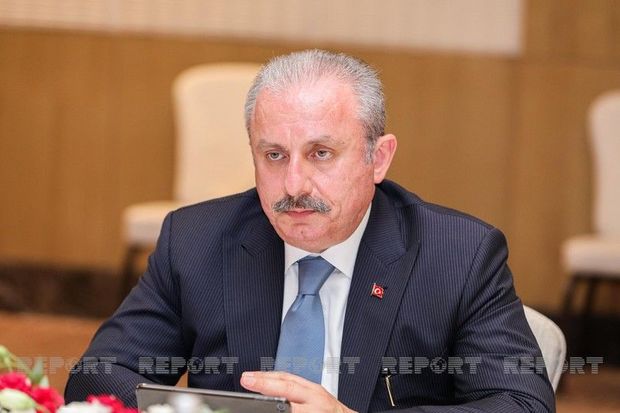 “Qarabağın azadlığından narahat olan şəxsin Türkiyədə siyasətlə məşğul olması çətindir”
