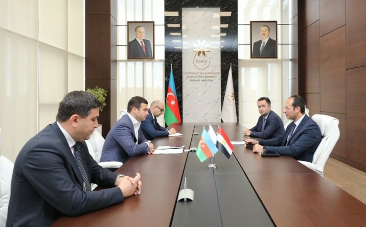 Azərbaycan KOB-ları Misirin “Elsewedy Electric” şirkətinin təchizatında iştirak edə bilər