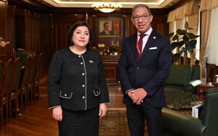 Sahibə Qafarova serbiyalı həmkarına təşəkkür etdi 