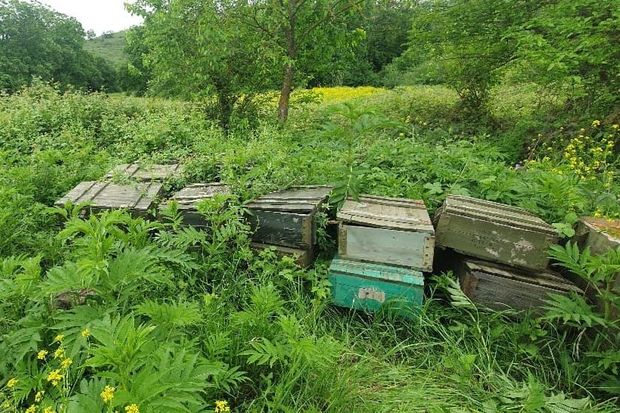 Xocavənddə partlayıcı vasitələr aşkarlandı – FOTO/VİDEO