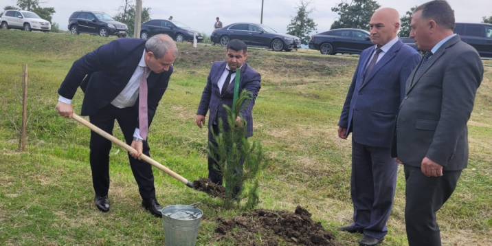 Heydər Əliyevin 100 illik yubileyi münasibətilə ağacəkmə aksiyası keçirilib