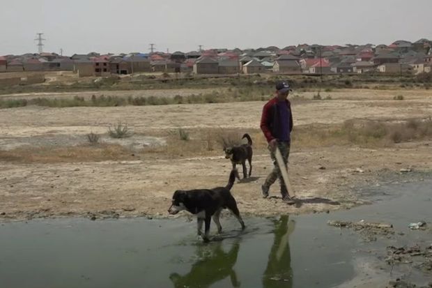 Masazırda itlərin hücumu nəticəsində zərərçəkən azyaşlıların valideynləri danışdılar