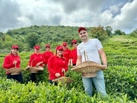 “Azerçay” Beynəlxaq Çay Günü münasibətilə silsilə tədbirlər keçirdi