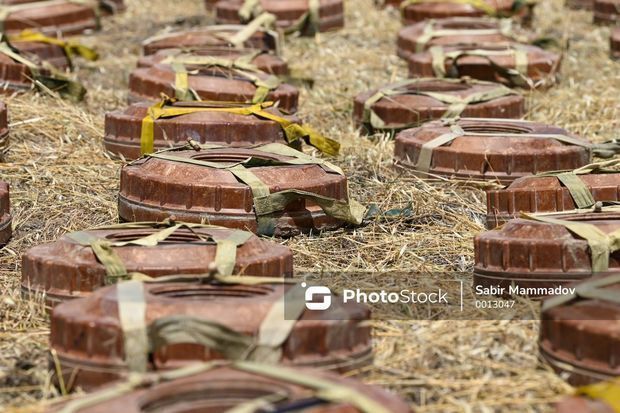 Azad edilmiş ərazilərdə daha 31 mina aşkarlanıb