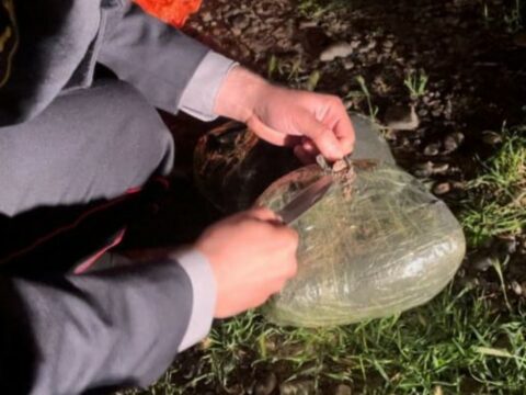 İrandan Azərbaycana narkotik gətirən şəxs SAXLANILDI