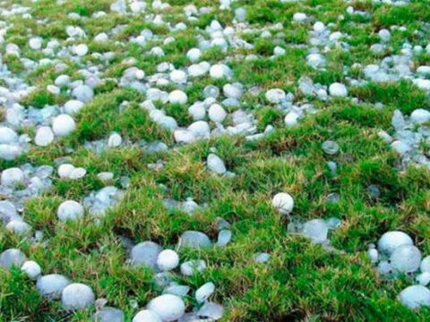 İki rayona dolu düşdü, 3 rayonda güclü külək