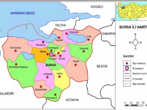 Bursada ZƏLZƏLƏ